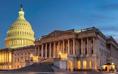 The Role of Fractional CFOs in Scaling Small to Mid-Sized Businesses