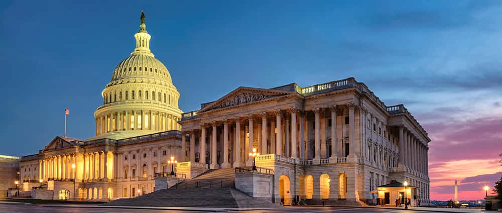 The Role of Fractional CFOs in Scaling Small to Mid-Sized Businesses